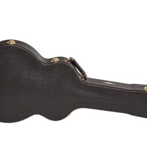 Guitar case