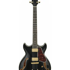 Ibanez jazz guitar