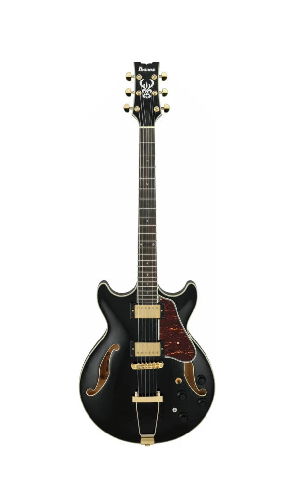 Ibanez jazz guitar
