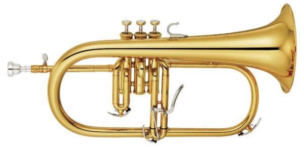 Flugo horn