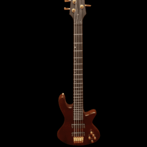 CHRISTIAN HERITAGE ROCK MUSIC 5 STRINGS PASSIVE GUITARS