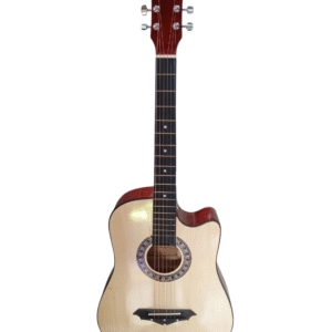 CHRISTIAN HERITAGE SIZE 38 GUITAR