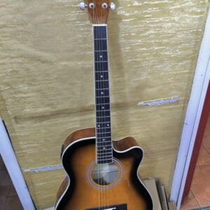 Ibanez Semi