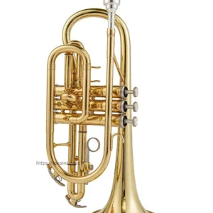 Cornet