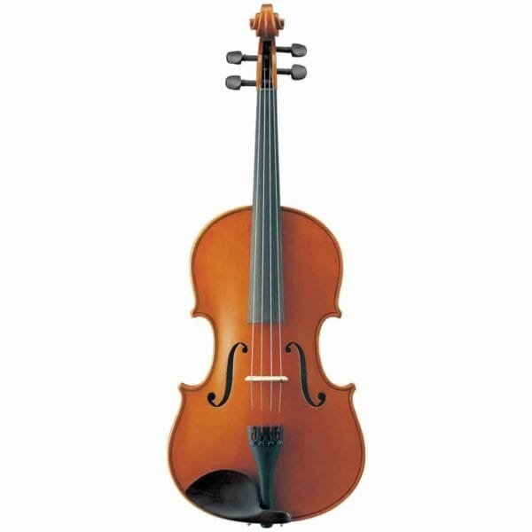 Viola