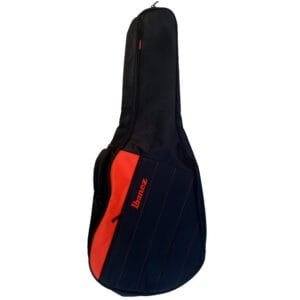 acoustic bass guitar