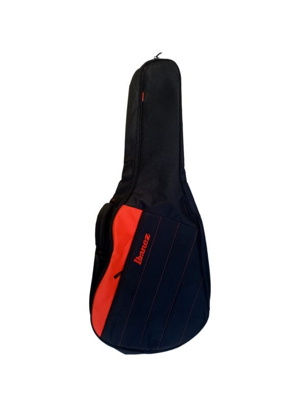 acoustic bass guitar