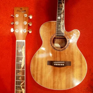 Alloy Smith Semi acoustic guitar