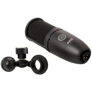 Akg P120