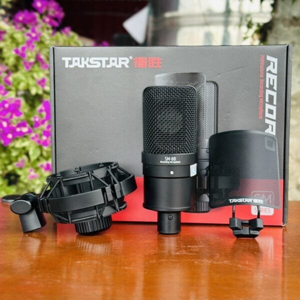 takstar sm8B