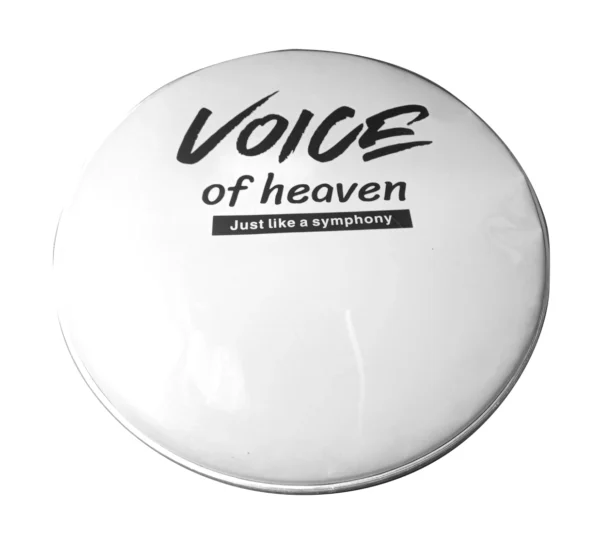 VOICE OF HEAVEN SKIN 28